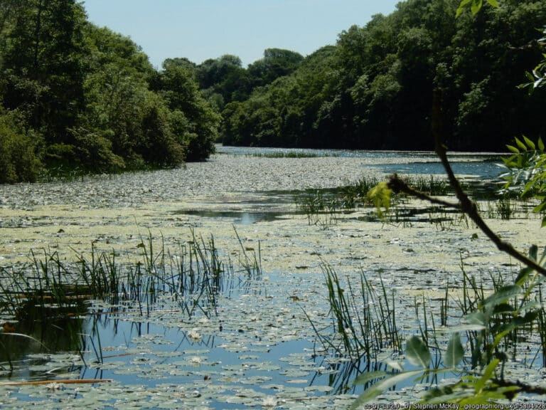 Bosherston Lily Ponds Stackpole 768x576
