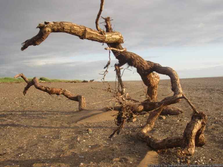 Silloth Beach Cumbria 768x576