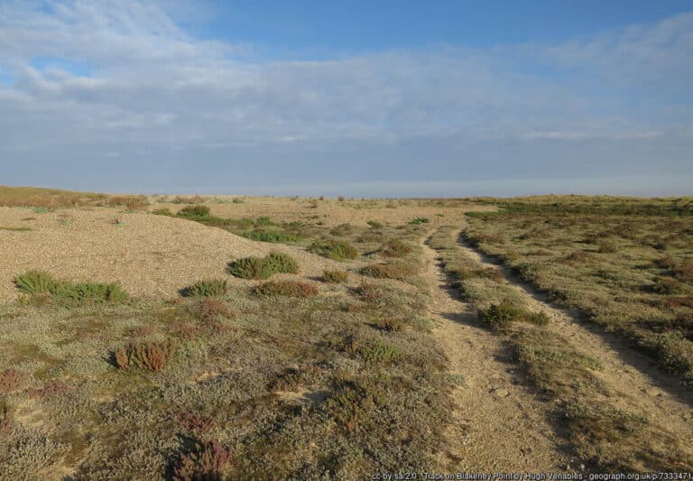 Track on Blakeney Point 768x533